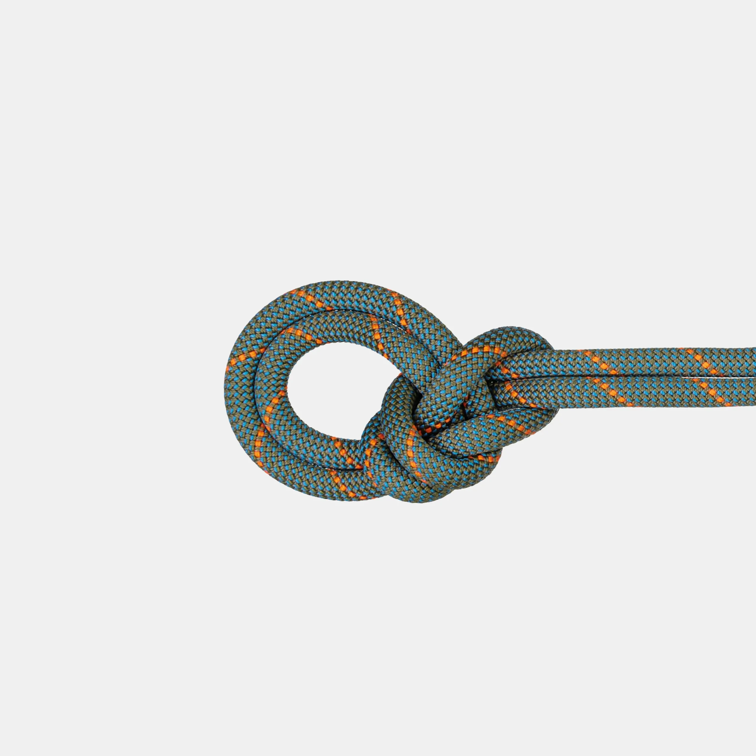 9.9 Crag Workhorse Dry Rope